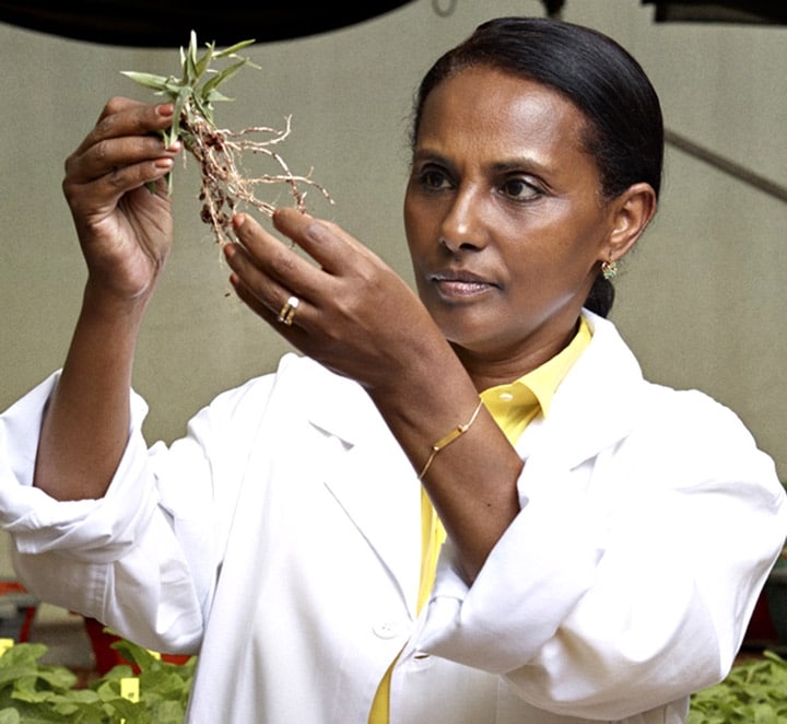 Segenet Kelemu: the Ethiopian scientist woman, Africa prize-winner of Oréal-Unesco Prize for women and science! - Africa Top Success