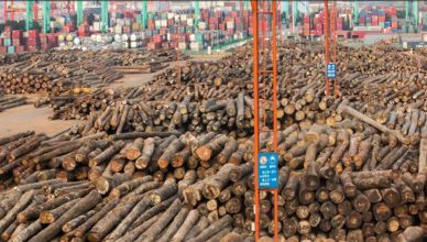 Central African Republic Archives Africa Top Success - 