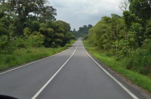 Transgabonaise