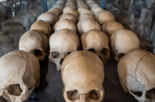 Génocide-Rwanda
