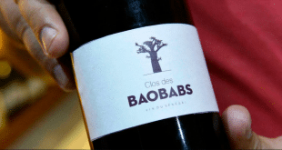 « Clos des Baobabs », le premier vin 100% sénégalais vendu à 24 000 FCFA