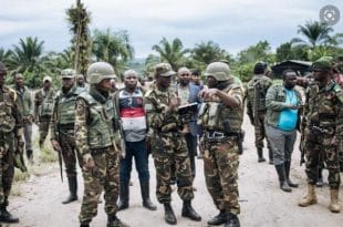 fardc-1