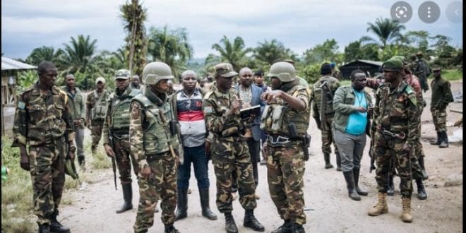 fardc-1