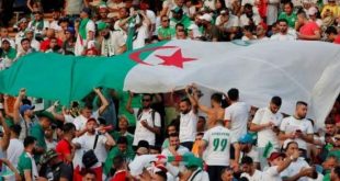 Supporters des Fennecs 10
