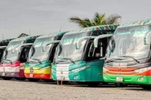 Bus Cameroun