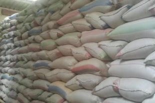 exportation Cameroun