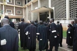 Ordre des avocats Cameroun