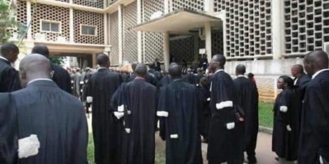 Ordre des avocats Cameroun