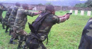 Cameroun 450