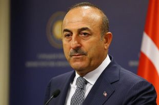 Mevlut Cavusoglu 350