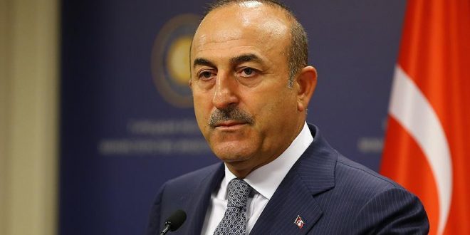 Mevlut Cavusoglu 350