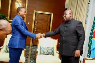 Tshisekedi, Kamuleta 2