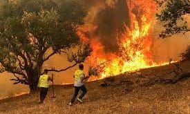 feux de forêts Maroc