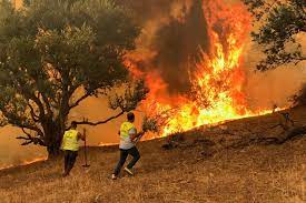 feux de forêts Maroc