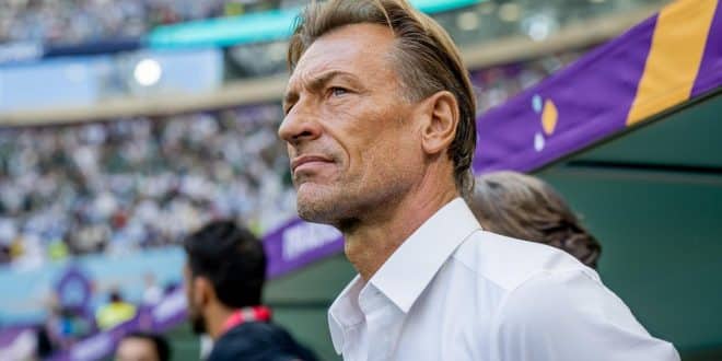 Hervé Renard,0234