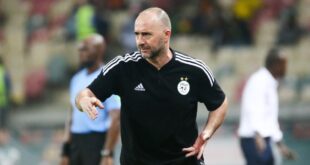 Djamel Belmadi,900