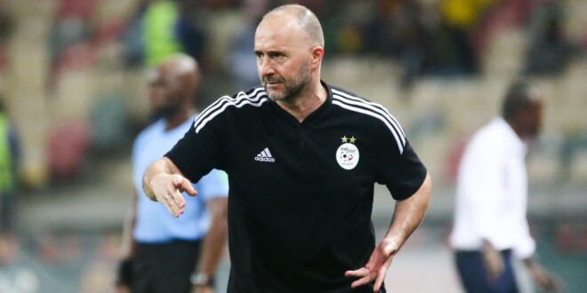 Djamel Belmadi,900