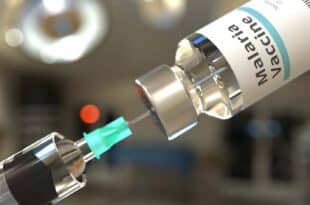 Vaccin Paludisme