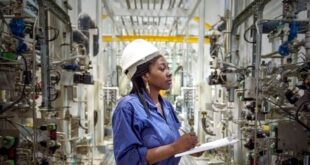 Afrique : Top 10 des pays qui accueillent les plus grandes entreprises industrielles en 2025
